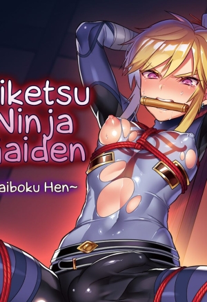 Eiketsu Ninja Gaiden ~Haiboku Hen~