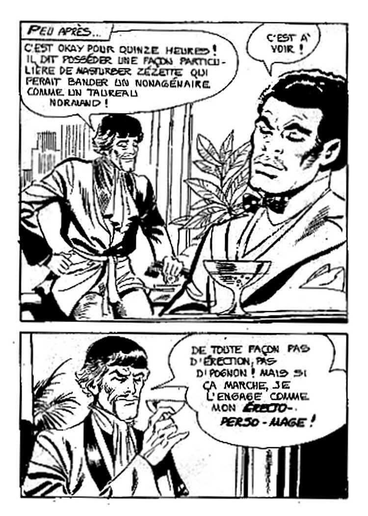 Elvifrance - Joyeuses Story - 05 - Le Roi Richard numero d'image 23